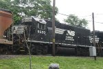 NS 5620